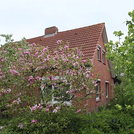 Haus Flieder Semesterbostad